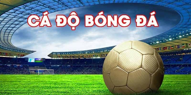 Kinh nghiệm cá độ cho người mới